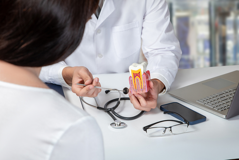 doctor with inside-of-tooth model